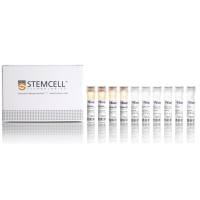 STEMCELL Technologies17868 EasySep™ Human IgG+ Memory B Cell Isolation Kit/EasySep™人IgG +记忆B细胞分离试剂盒