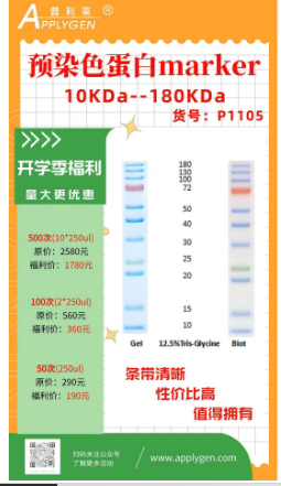 预染色蛋白marker10KDa--180KDa