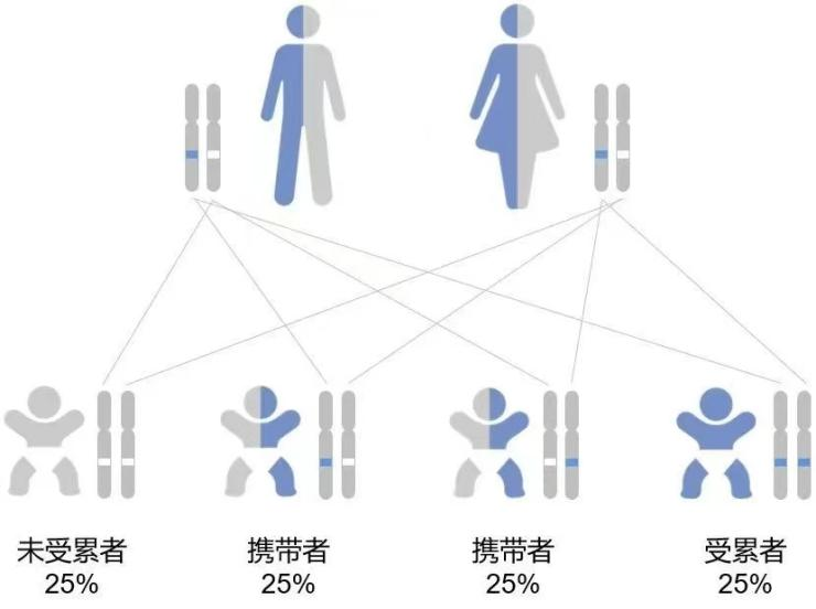 【科普】产检都过关，孩子还是有可能会得遗传病？