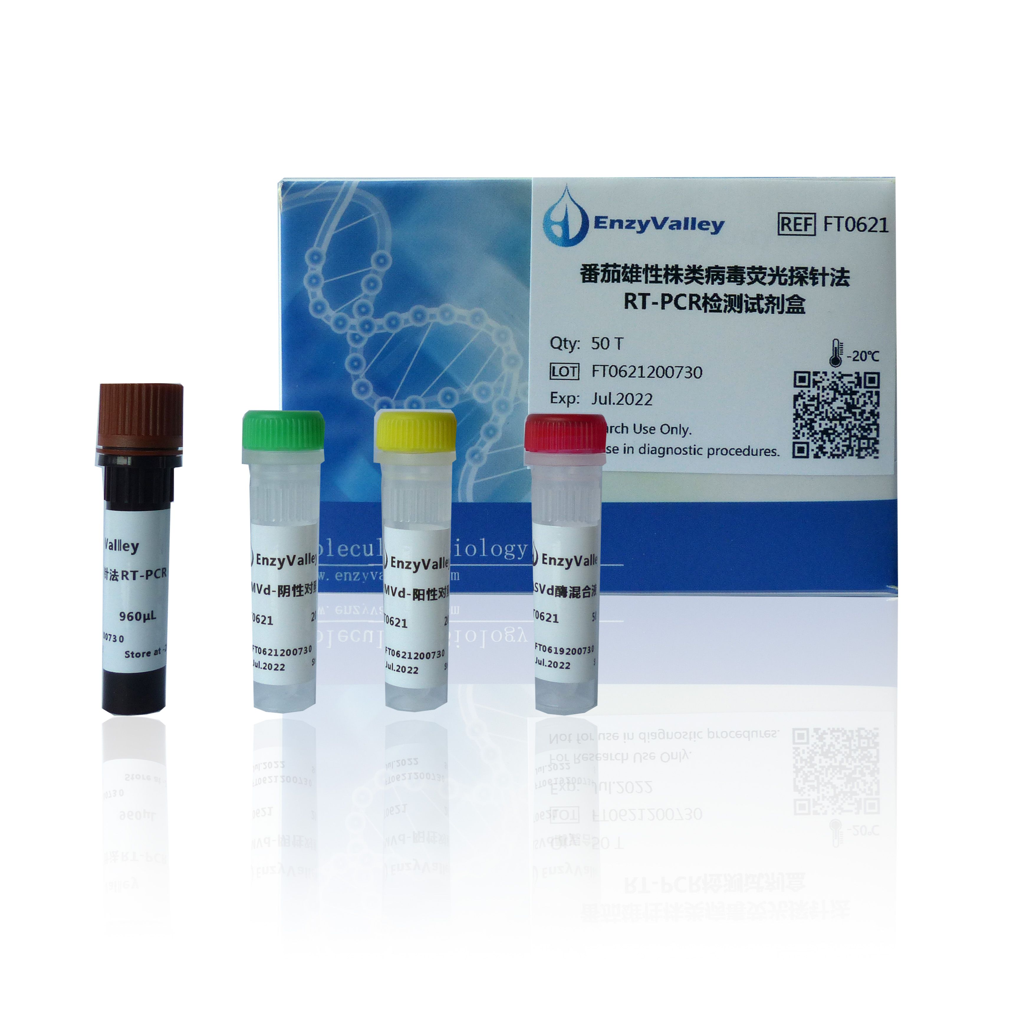 番茄雄性株类病毒荧光探针法RT-PCR检测试剂盒（FT0621）