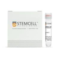 STEMCELL Technologies15022RosetteSep™ Human CD4+ T Cell Enrichment Cocktail/RosetteSep™人CD4+ T细胞免疫密度梯度离心富集抗体混合物