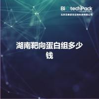 湖南靶向蛋白组多少钱