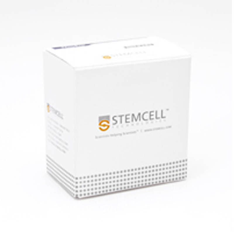 STEMCELL Technologies19062EasySep™Human Plasmacytoid DC Enrichment kit/EasySep™人浆细胞样树突状细胞（p-DC）富集试剂盒