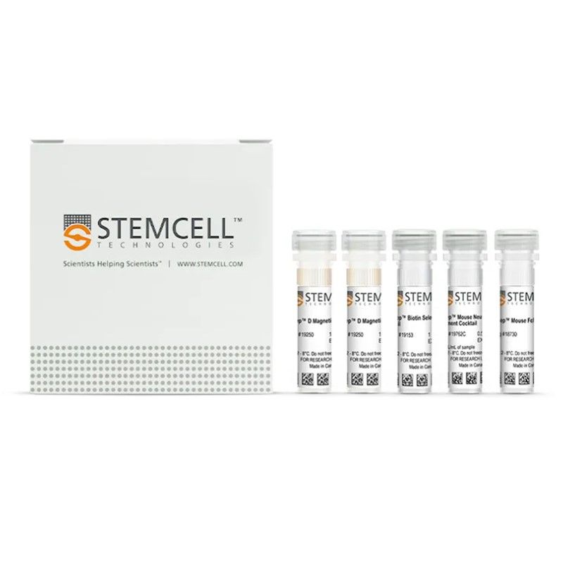 STEMCELL Technologies19762 EasySep™ Mouse Neutrophil Enrichment Kit/小鼠中性粒细胞免疫磁珠富集试剂盒