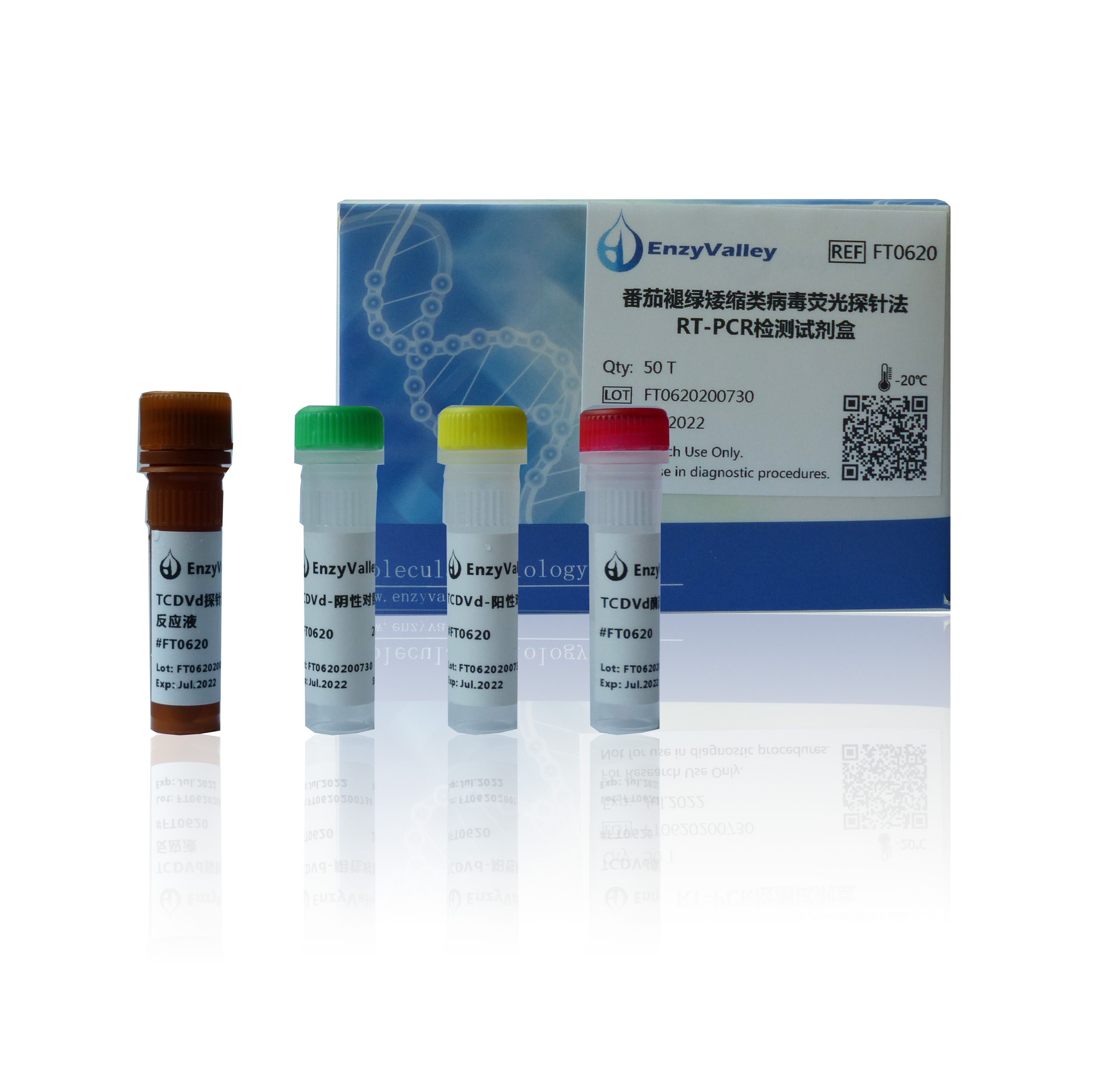 番茄褪绿矮缩类病毒荧光探针法RT-PCR检测试剂盒（FT0620）