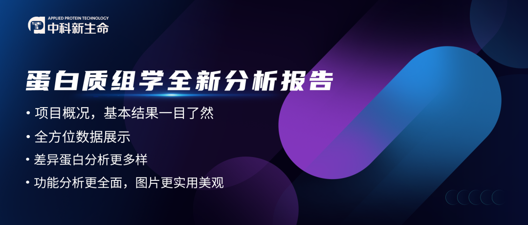 新学期，新报告，新形象——蛋白组学分析报告全新升级