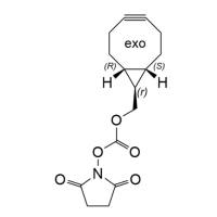exo-BCN-NHS carbonate