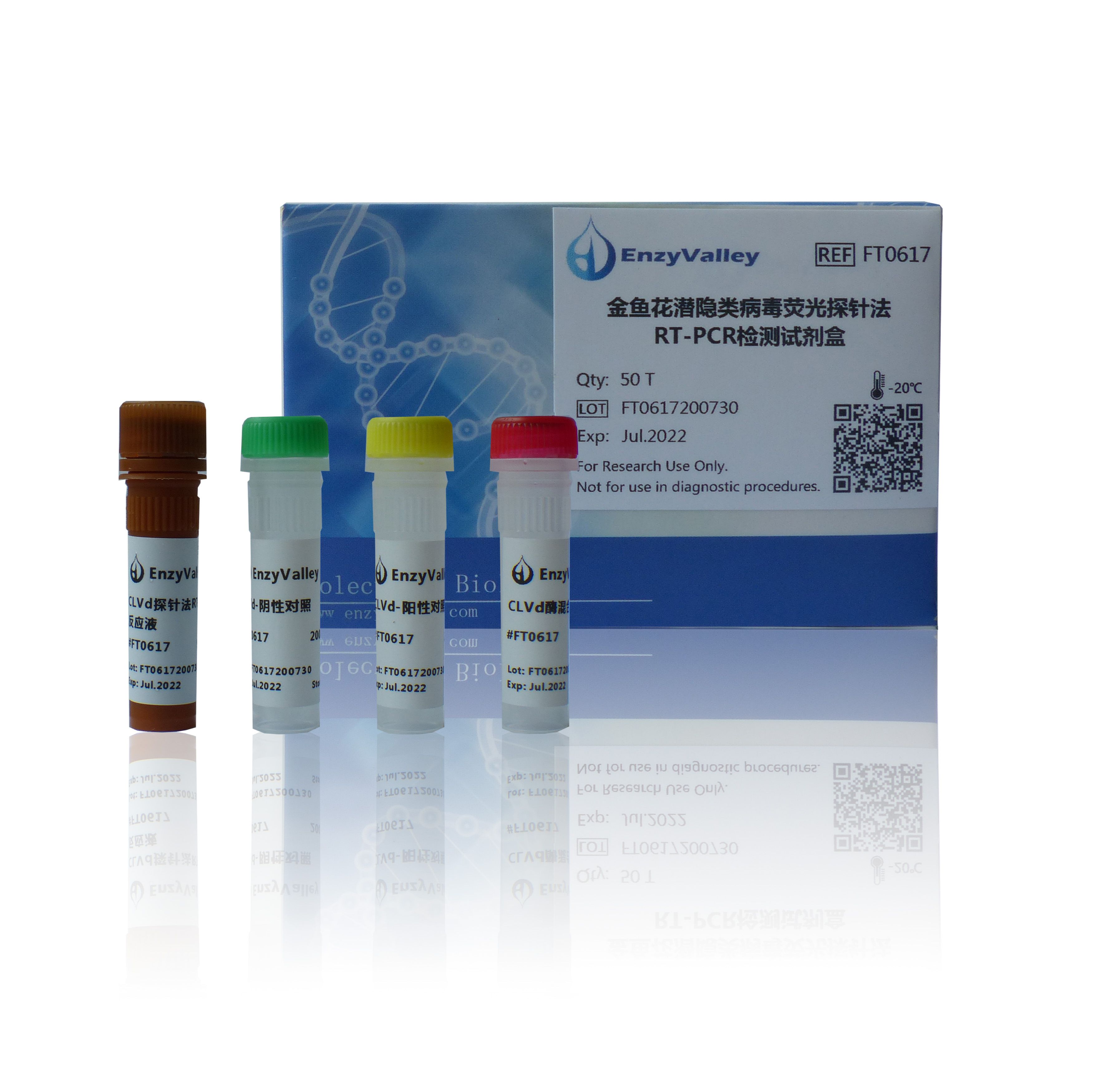 金鱼花潜隐类病毒荧光探针法RT-PCR检测试剂盒（FT0617）