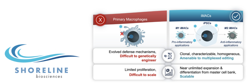 免疫细胞新研究盘点