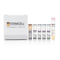 STEMCELL Technologies17656EasySep™Release Mouse PE Positive Selection Kit/EasySep™可去除磁珠小鼠PE正选试剂盒