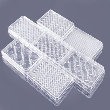 细胞培养透明板 透明盖 TC处理 灭菌 吸塑盒装 可选（6孔、12孔、24孔、48孔、96孔） 