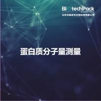 蛋白质分子量测量