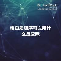 蛋白质测序可以用什么反应呢
