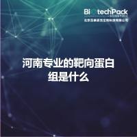河南专业的靶向蛋白组是什么