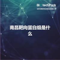 南昌靶向蛋白组是什么