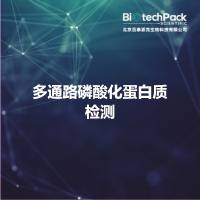 多通路磷酸化蛋白质检测