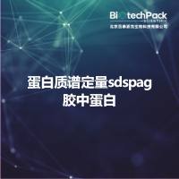 蛋白质谱定量sdspag胶中蛋白