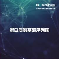 蛋白质氨基酸序列图