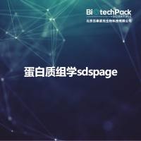 蛋白质组学sdspage
