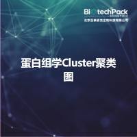 蛋白组学Cluster聚类图