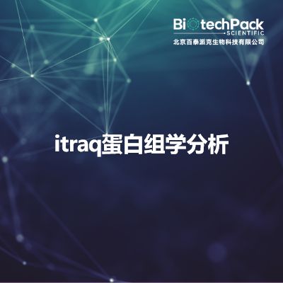itraq蛋白组学分析
