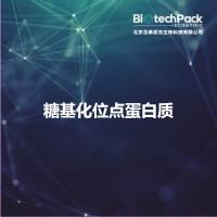 糖基化位点蛋白质