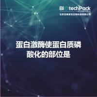 蛋白激酶使蛋白质磷酸化的部位是