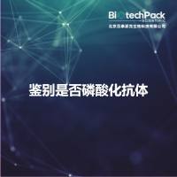 鉴别是否磷酸化抗体