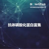 抗体磷酸化蛋白富集