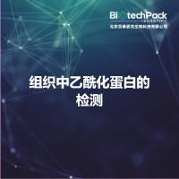 组织中乙酰化蛋白的检测