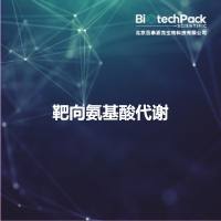 靶向氨基酸代谢