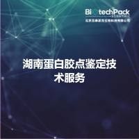 湖南蛋白胶点鉴定技术服务