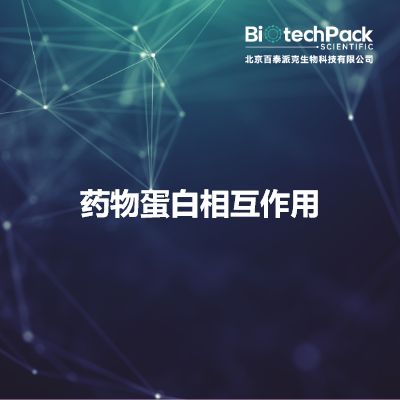 药物蛋白相互作用
