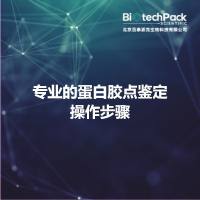 专业的蛋白胶点鉴定操作步骤