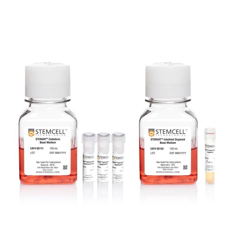 STEMCELL Technologies05140 STEMdiff™Intestinal Organoid Kit/STEMdiff™肠类器官分化培养试剂盒