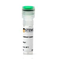 STEMCELL Technologies02625EPO, Human, Recombinant/人促红细胞生成素