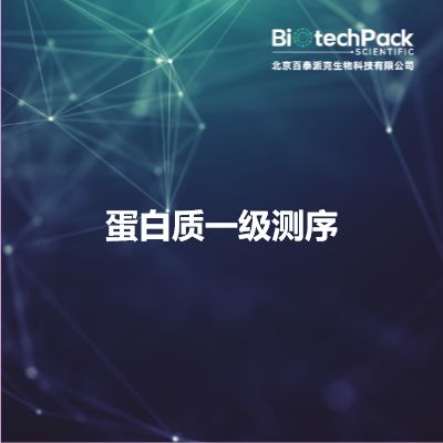 蛋白质一级测序