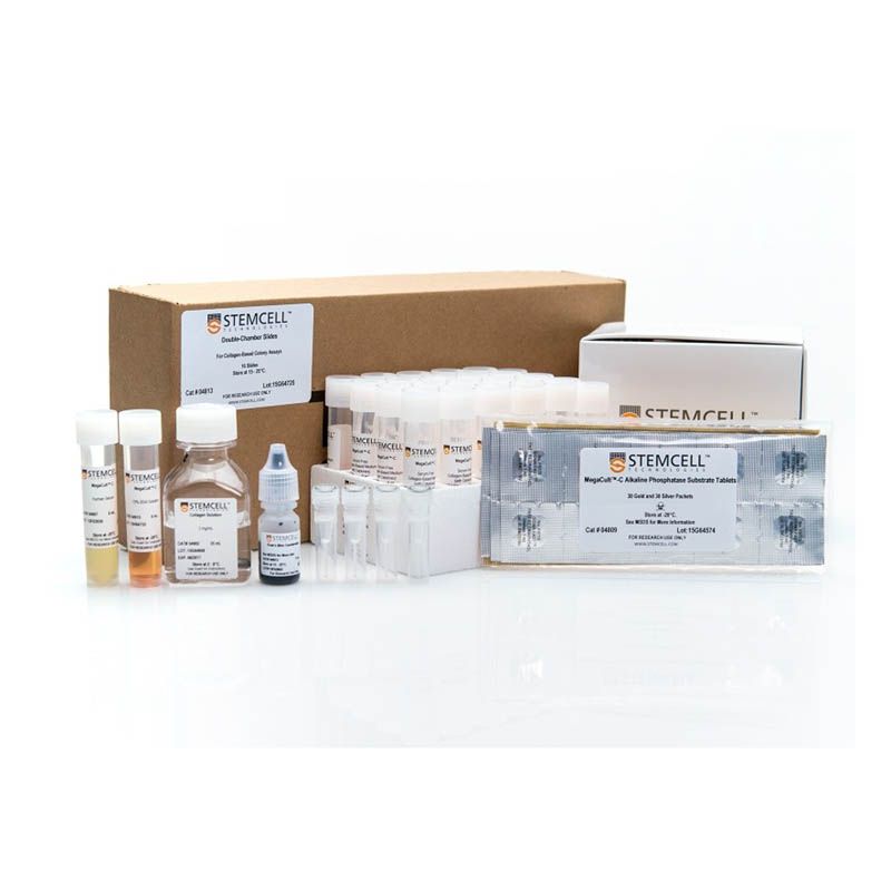 STEMCELL Technologies04970MegaCult™-C Complete Kit without Cytokines/不含细胞因子的人巨核祖细胞CFU检测完全试剂盒