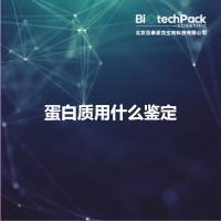 蛋白质用什么鉴定