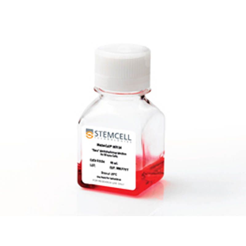 STEMCELL Technologies 03134 MethoCult™ M3134/小鼠造血细胞CFU检测甲基纤维素基础培养基