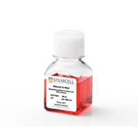 STEMCELL Technologies03534MethoCult™ GF M3534/不含EPO的小鼠甲基纤维素培养基