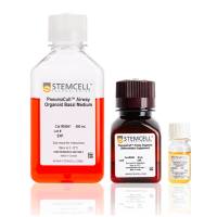 STEMCELL Technologies 05060 PneumaCult™ Airway Organoid Kit/PneumaCult™呼吸道类器官培养基