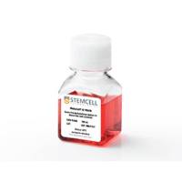 STEMCELL Technologies03436 MethoCult™ SF M3436/小鼠红系祖细胞无血清甲基纤维素培养基