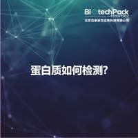 蛋白质如何检测?