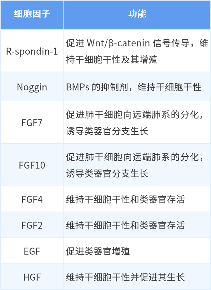 国自然黑马？28 分国人综述教你构建完美「肿瘤类器官」