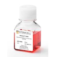 STEMCELL Technologies 04330 MethoCult™H4330/含EPO的基础甲基纤维素培养基
