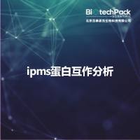 ipms蛋白互作分析