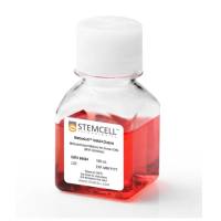 STEMCELL Technologies04434MethoCult H4434 Classic/ H4434人甲基纤维素半固体培养基