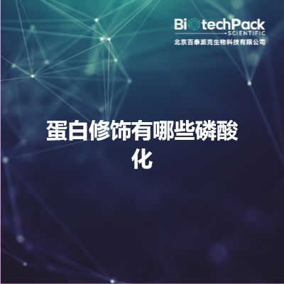 蛋白修饰有哪些磷酸化