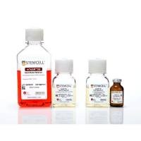 STEMCELL Technologies03950 mTeSR™3D/hPSC 3D培养试剂盒
